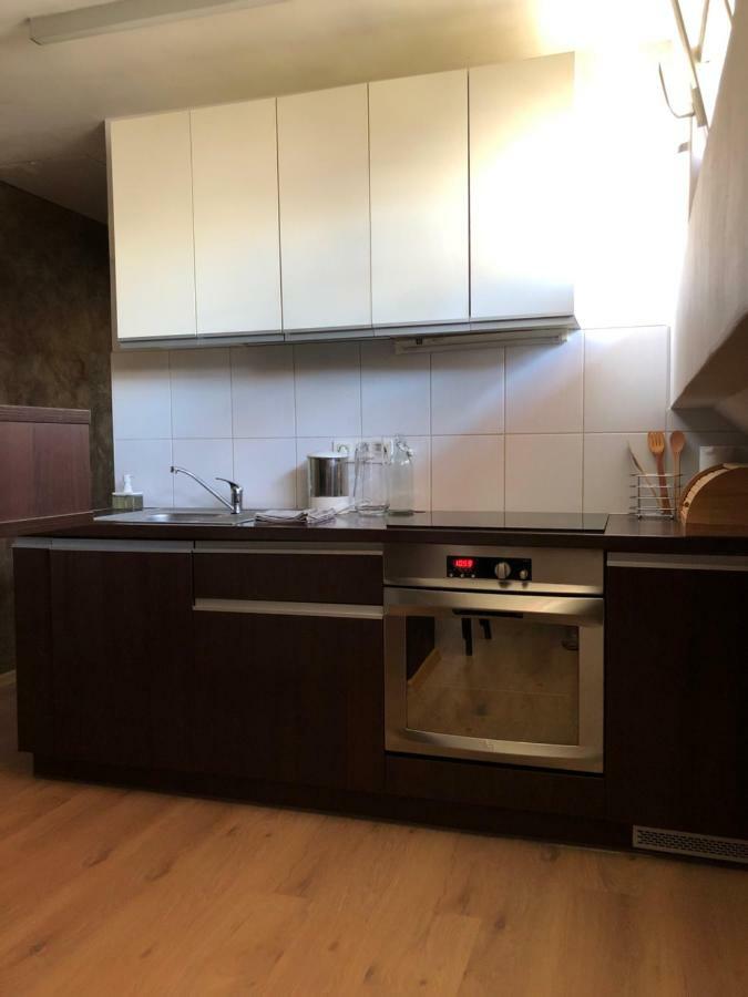 Trakai Old Town Apartment מראה חיצוני תמונה
